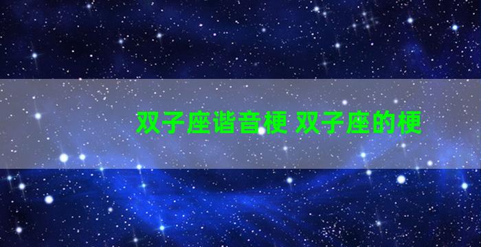 双子座谐音梗 双子座的梗